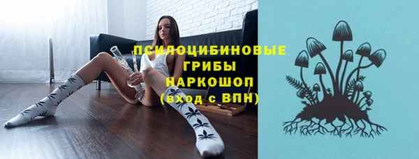 гашик Баксан