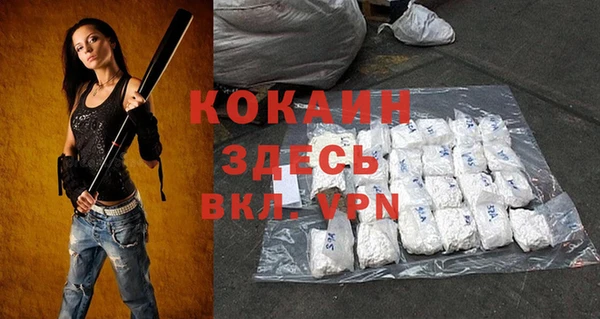 шишки Белоозёрский
