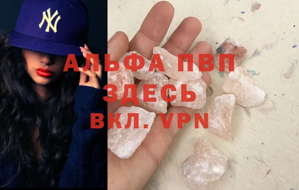 шишки Белоозёрский