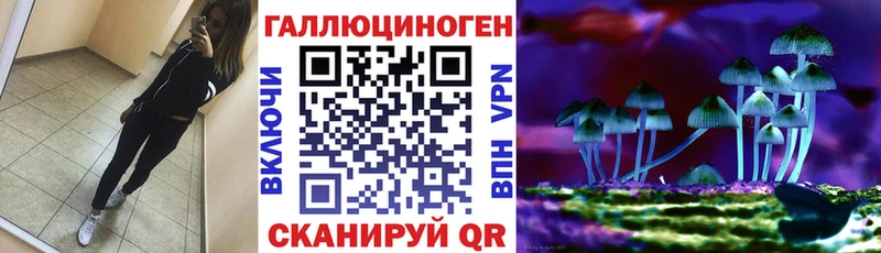 Галлюциногенные грибы Psilocybine cubensis  магазин  наркотиков  Каргат 