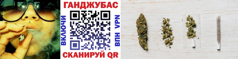 Каннабис планчик Каргат